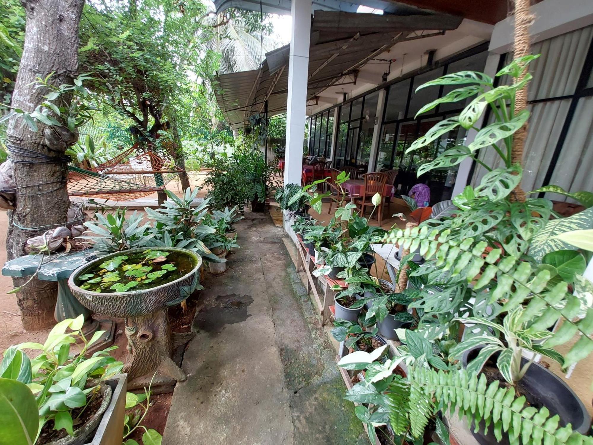 Lake Wave Hotel Anuradhapura Exterior foto